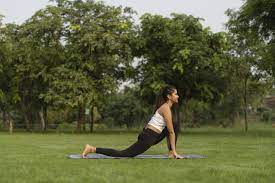 Suryanamaskar 